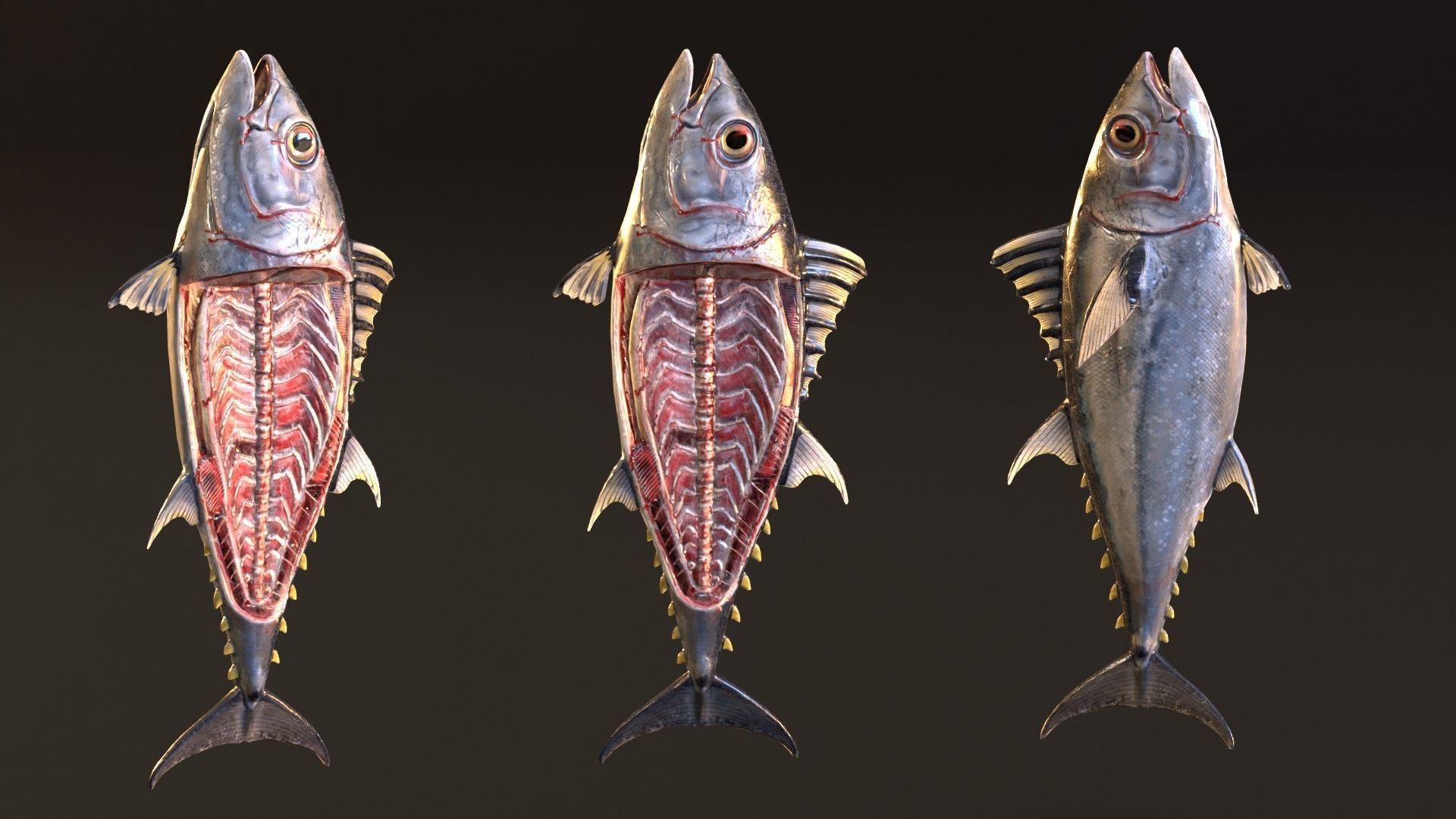 Butchered fish MEGASET 4 models 5 texture variations Low-poly 3D model_20