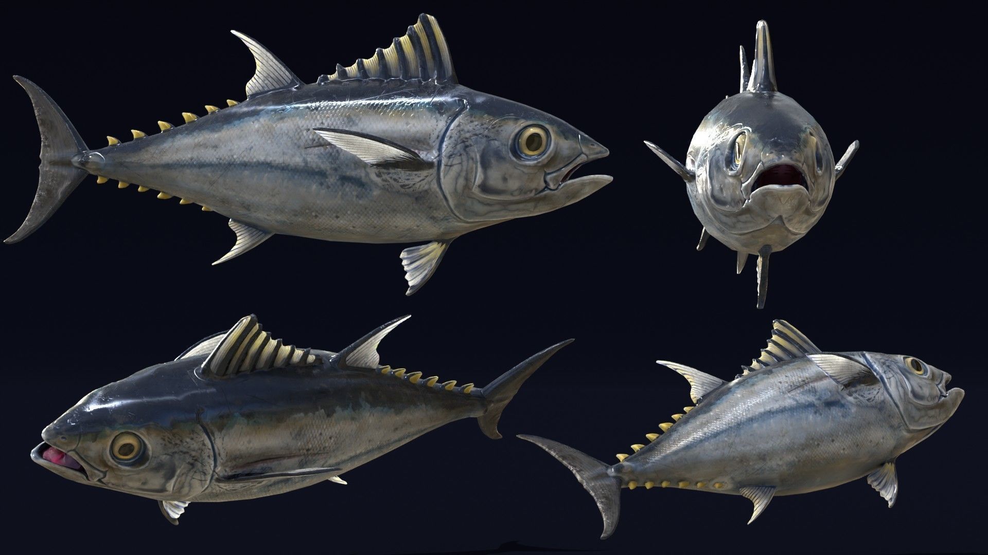 Butchered fish MEGASET 4 models 5 texture variations Low-poly 3D model_32