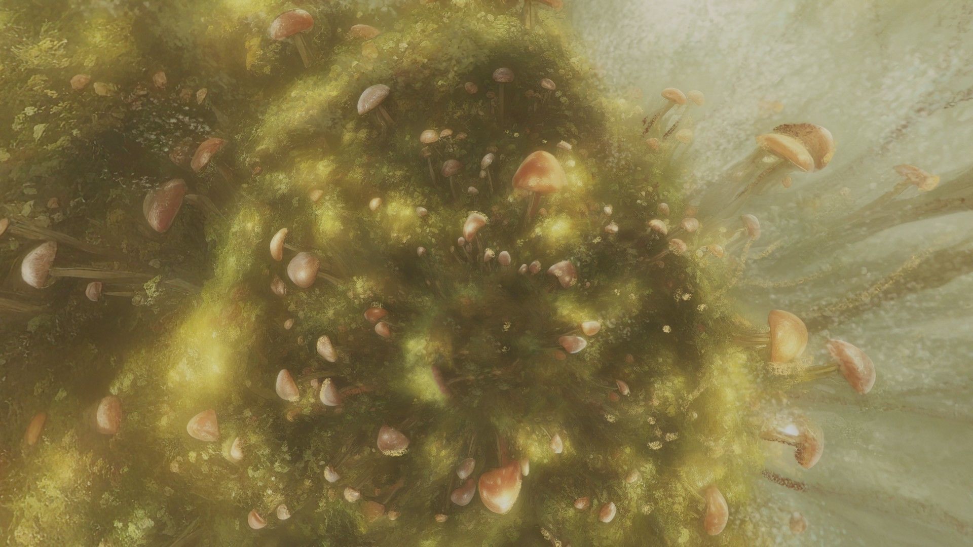 Magic mushroom forest 360 VR sky background illustration Low-poly 3D model_34