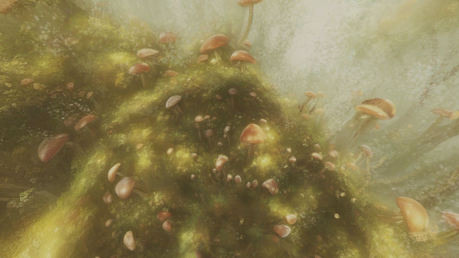 Magic mushroom forest 360 VR sky background illustration Low-poly 3D model_36