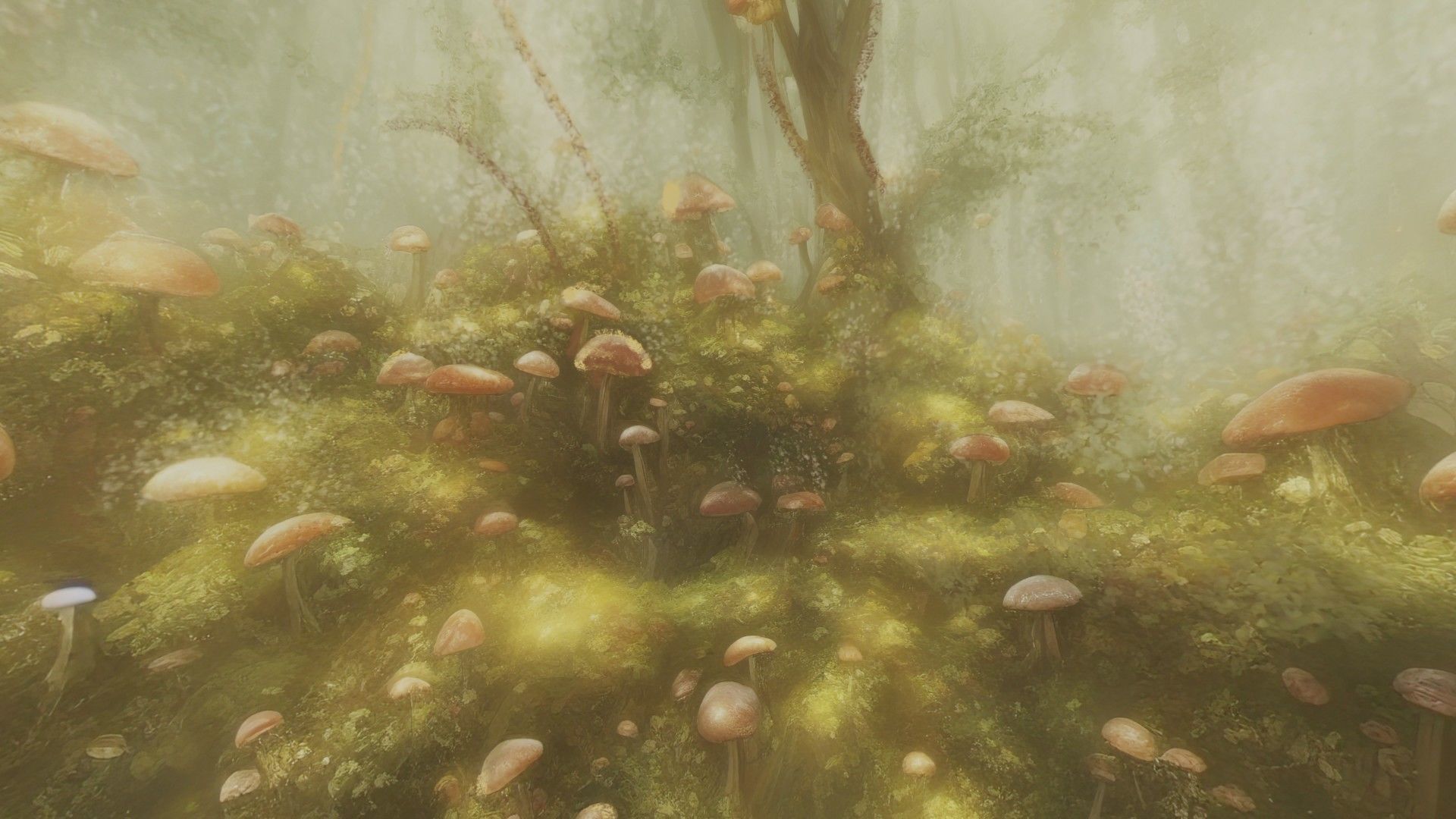 Magic mushroom forest 360 VR sky background illustration Low-poly 3D model_7