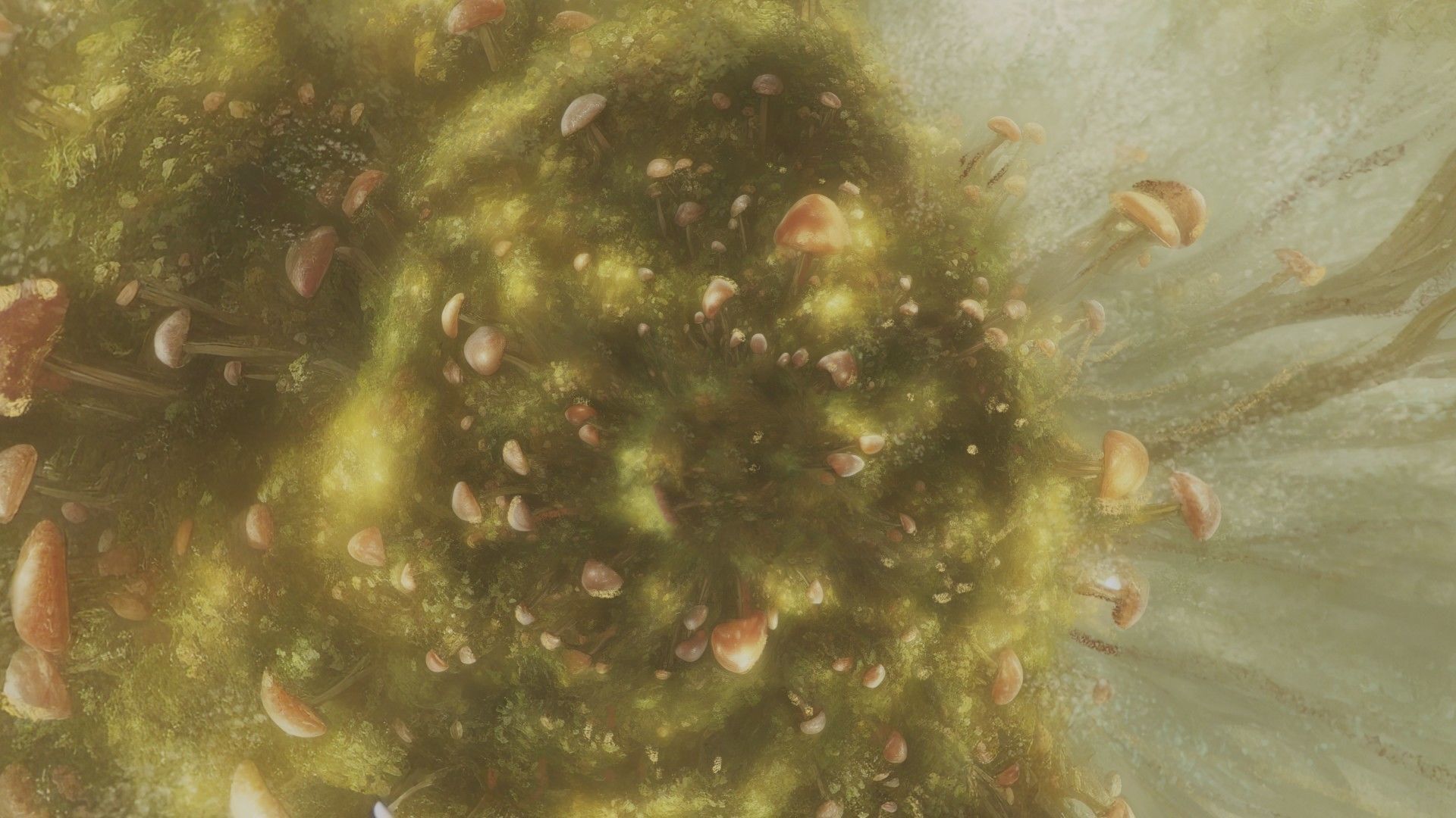 Magic mushroom forest 360 VR sky background illustration Low-poly 3D model_4