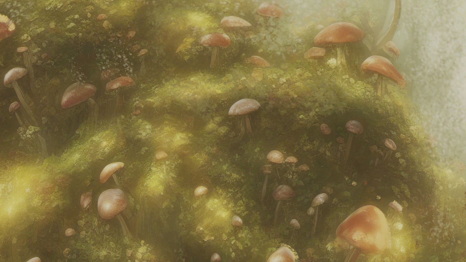 Magic mushroom forest 360 VR sky background illustration Low-poly 3D model_19