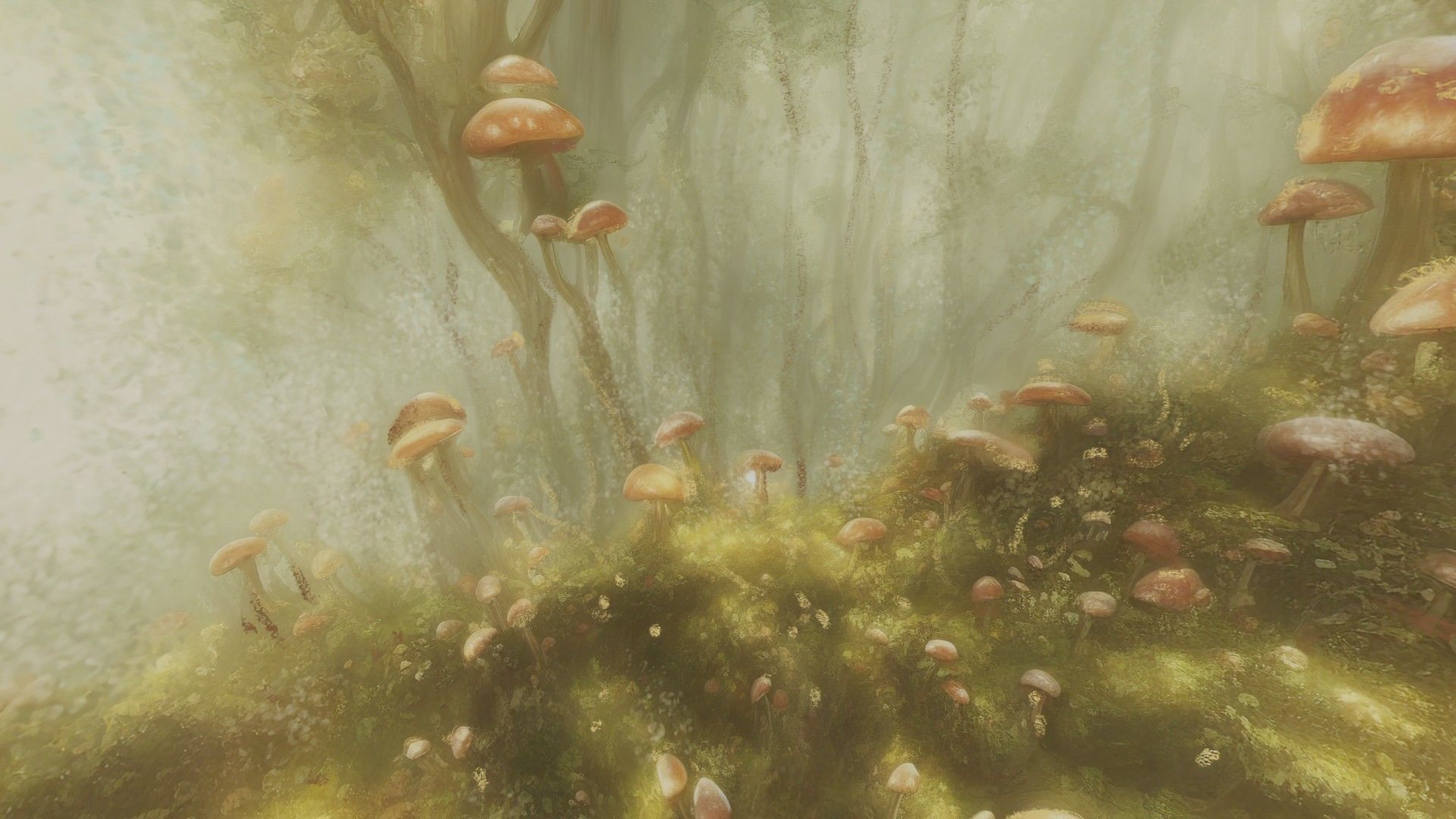 Magic mushroom forest 360 VR sky background illustration Low-poly 3D model_37