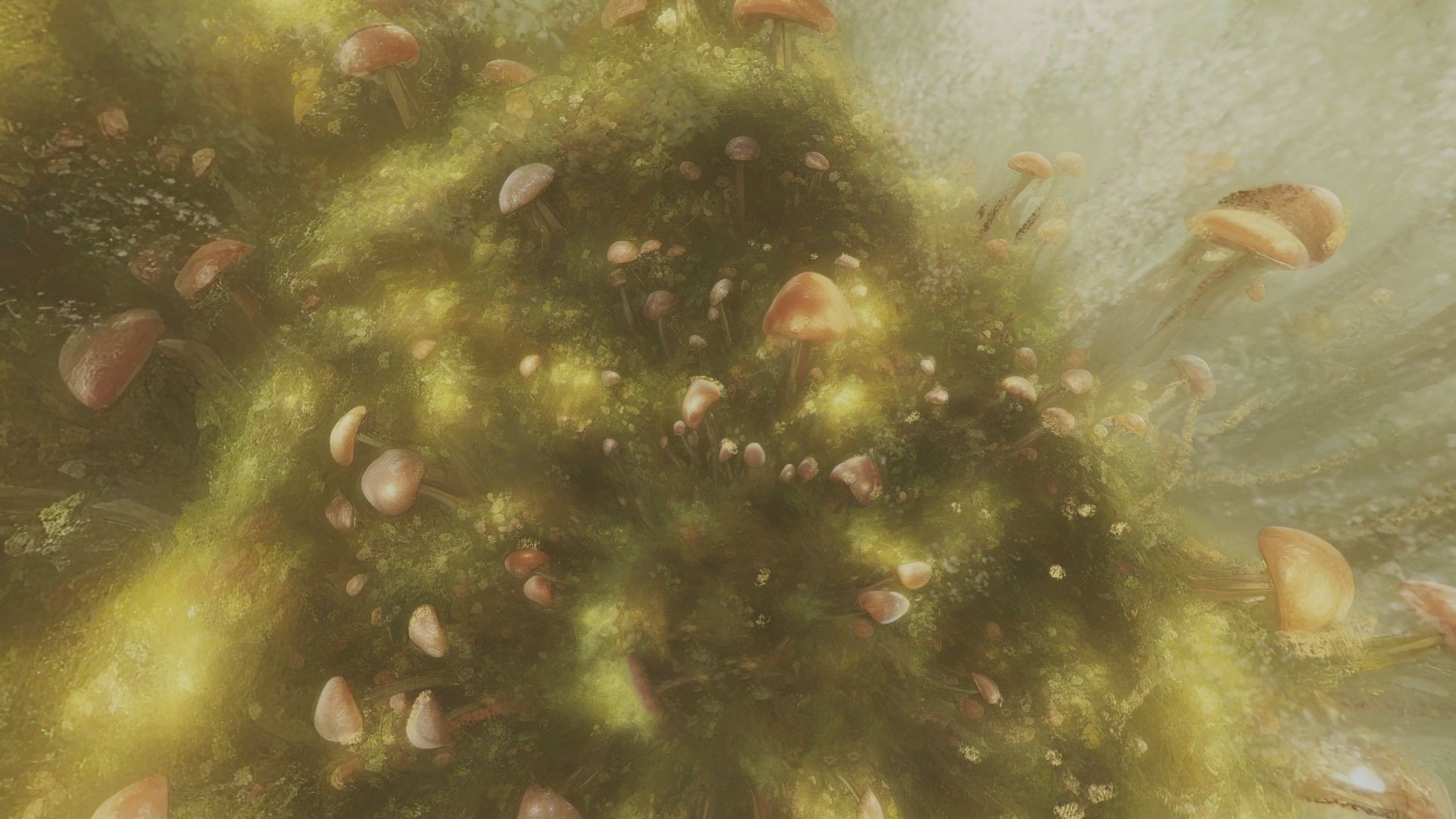 Magic mushroom forest 360 VR sky background illustration Low-poly 3D model_35