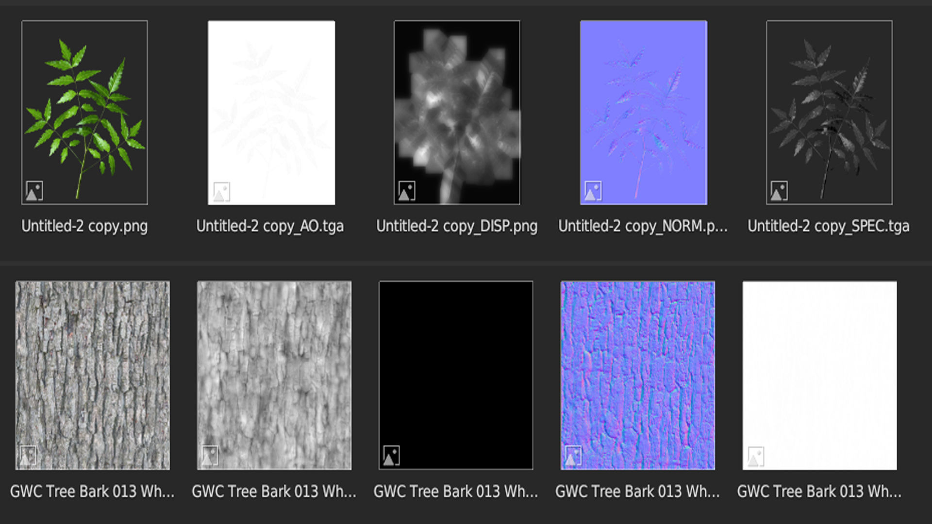 Neem Tree 3d Model 3D model_7