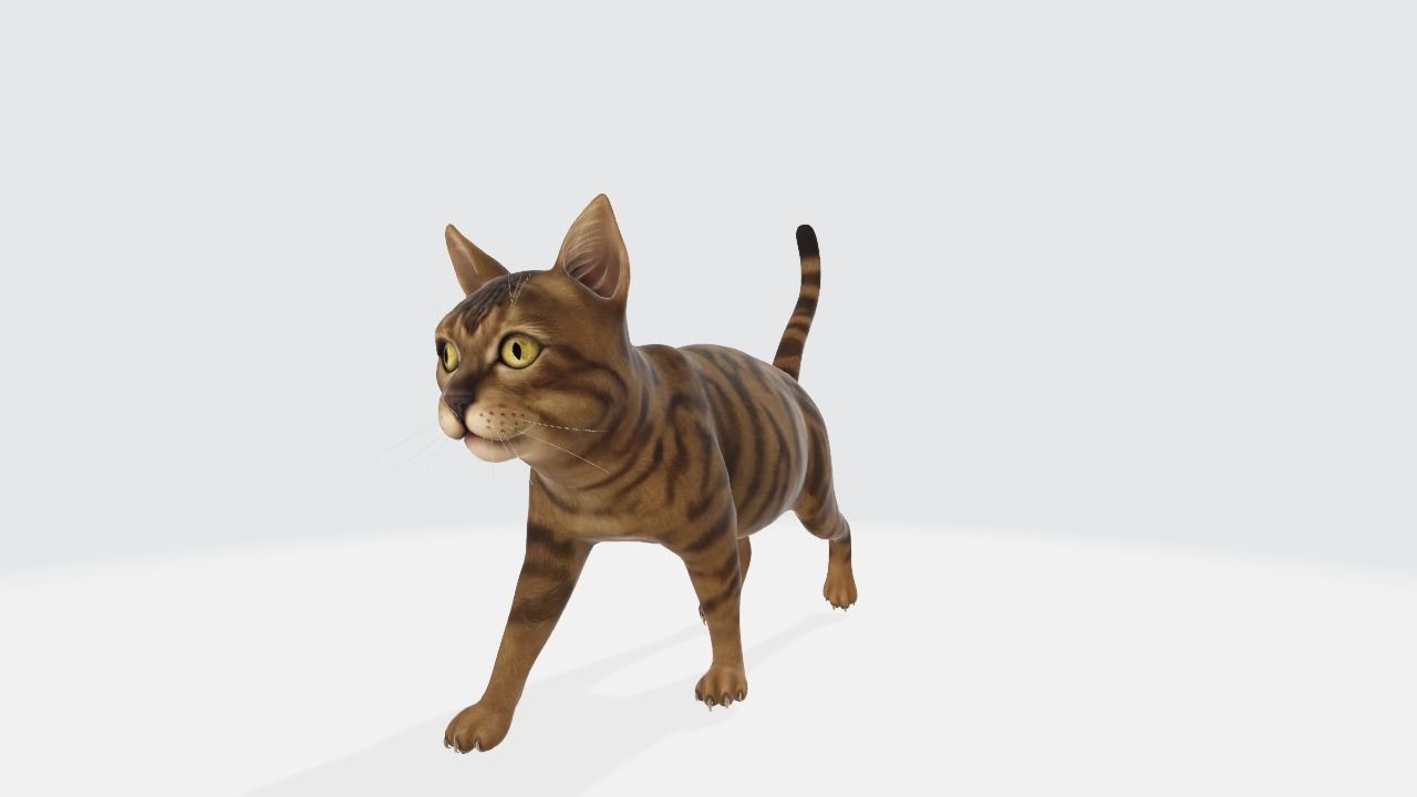 Cat High poly 3D model_1