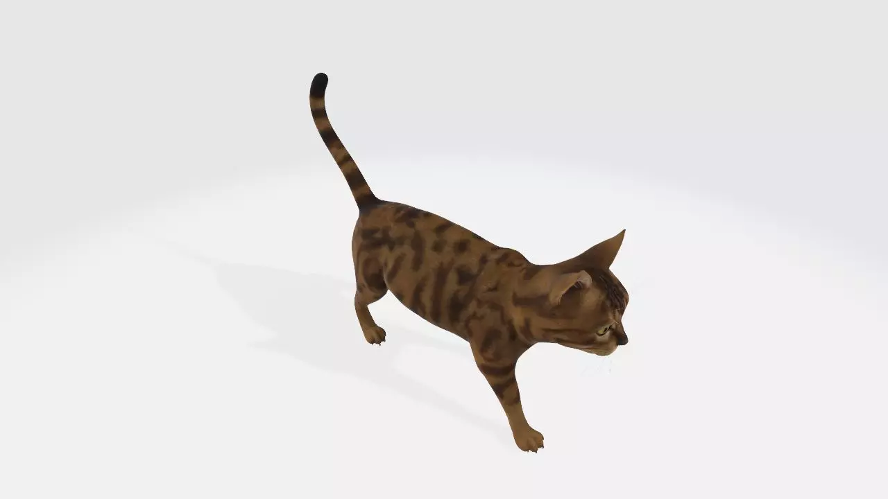 Cat High poly 3D model_0