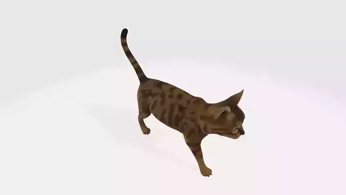Cat High poly
