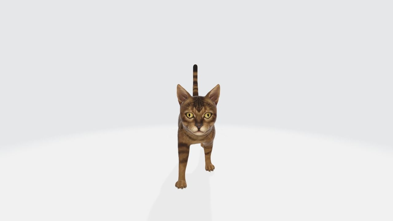 Cat High poly 3D model_2