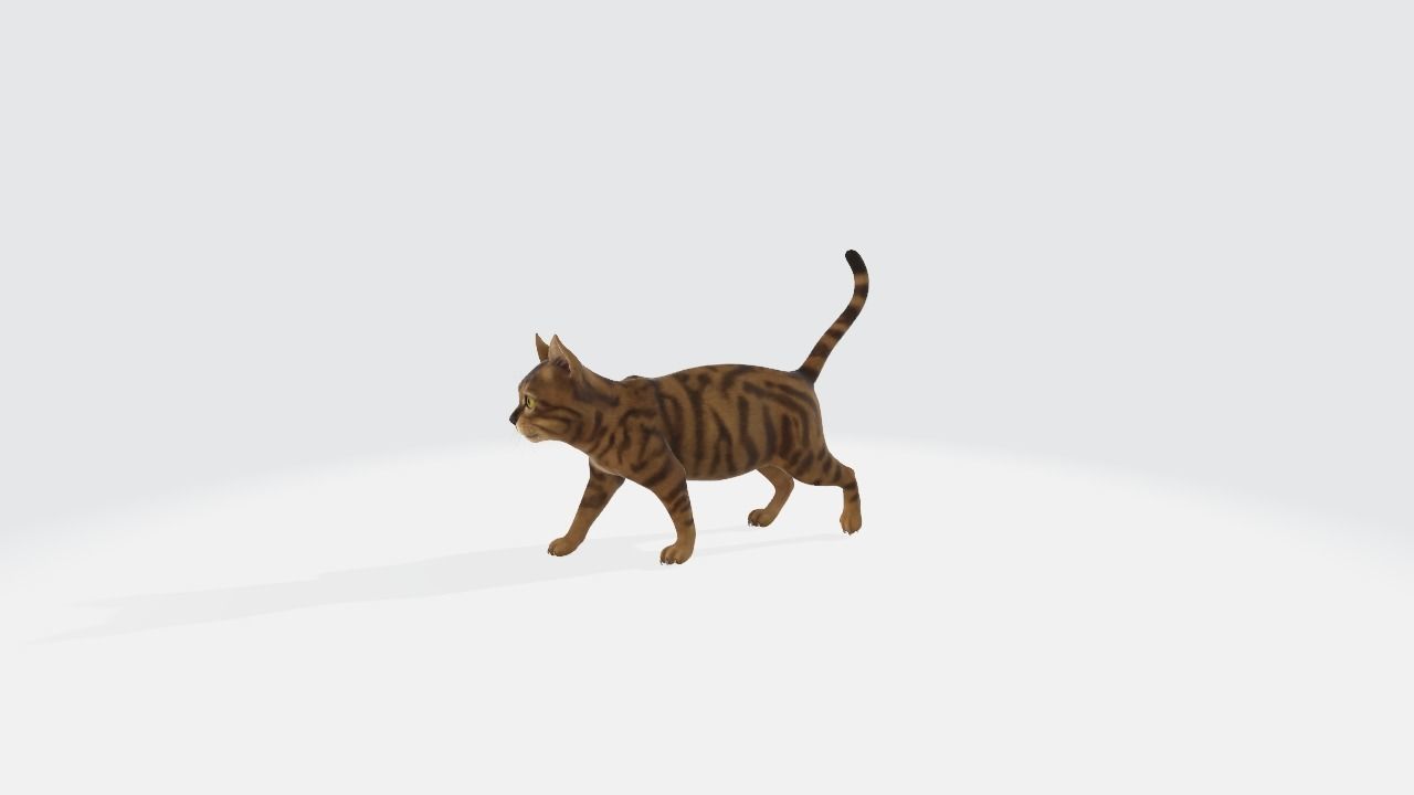 Cat High poly 3D model_4