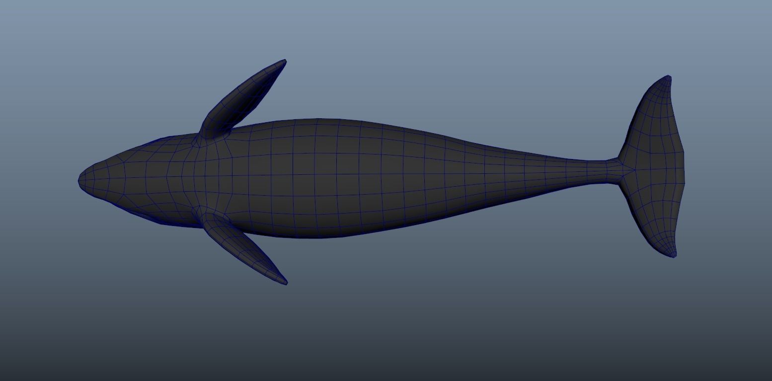 killer-whale Animated Low-poly Low-poly 3D model_9