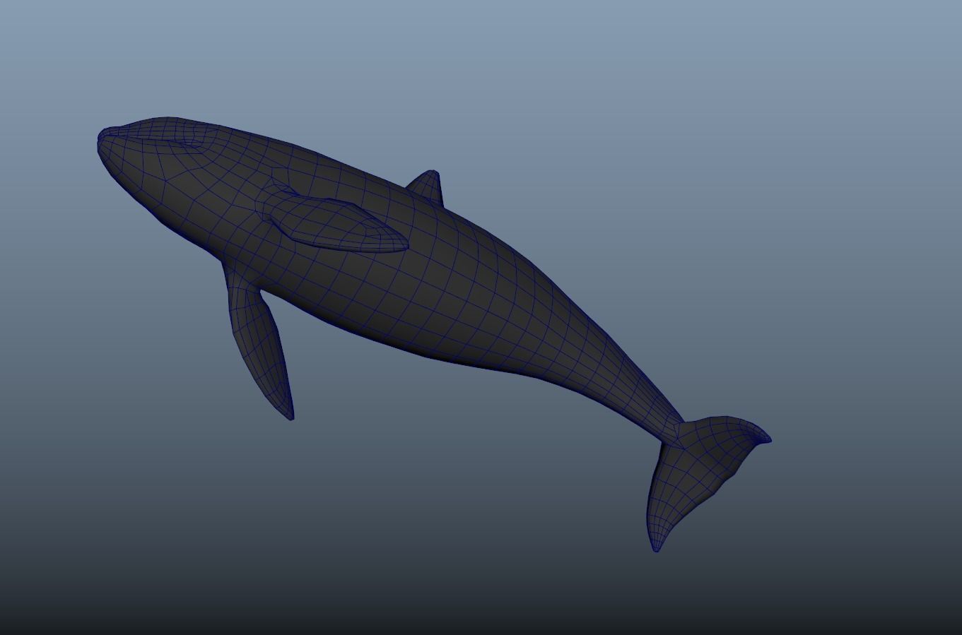 killer-whale Animated Low-poly Low-poly 3D model_10