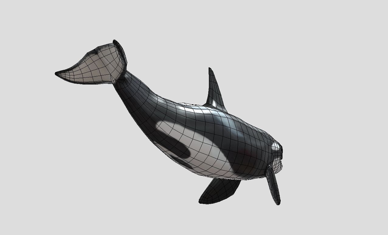 killer-whale Animated Low-poly Low-poly 3D model_6