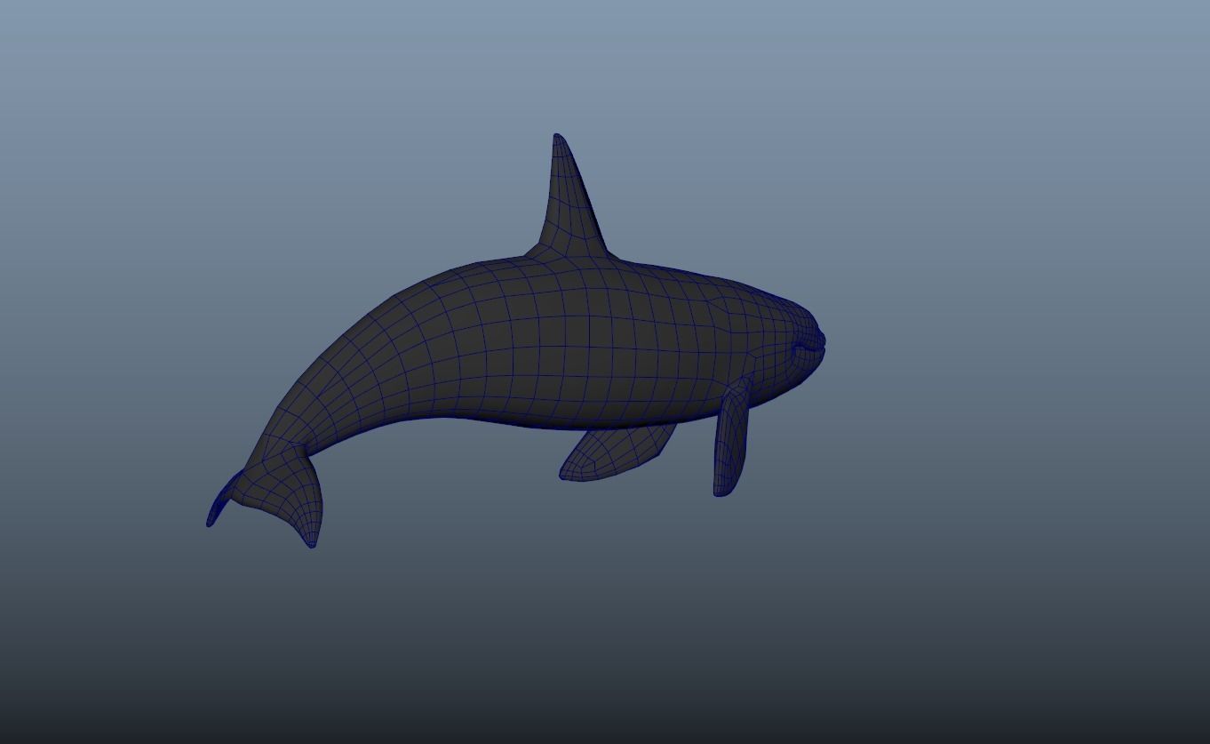 killer-whale Animated Low-poly Low-poly 3D model_11