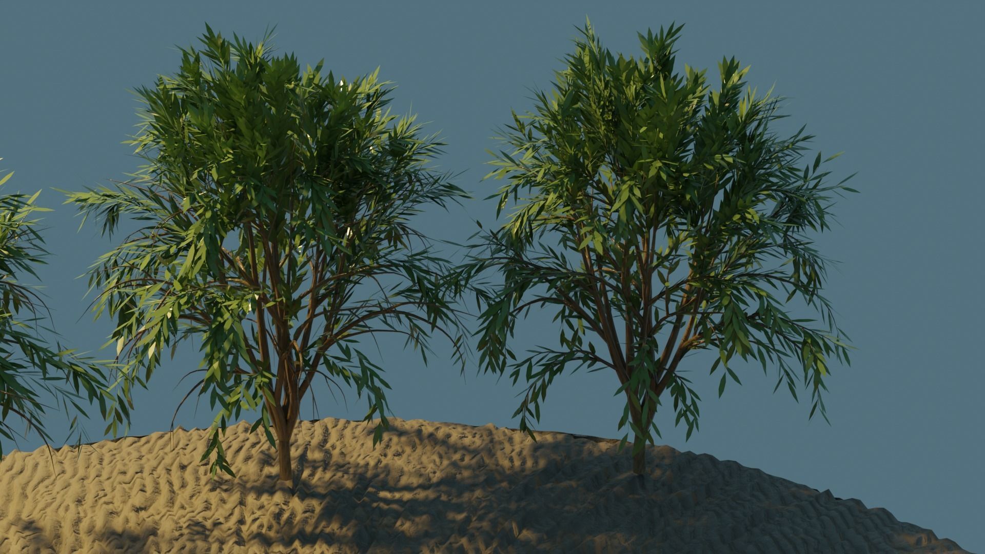 swimming pool 3D model_2