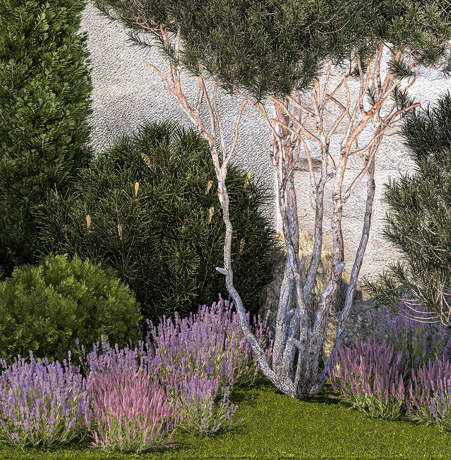 Garden with thuja trees and pine topiary lavender bushes 3D model_13