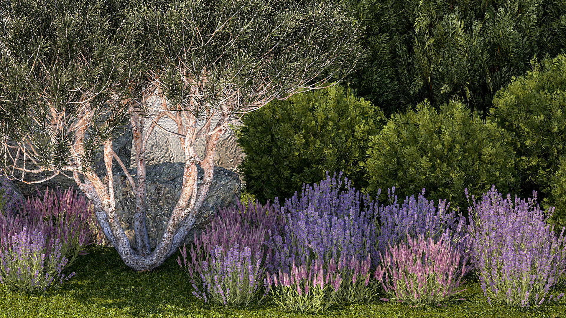 Garden with thuja trees and pine topiary lavender bushes 3D model_3