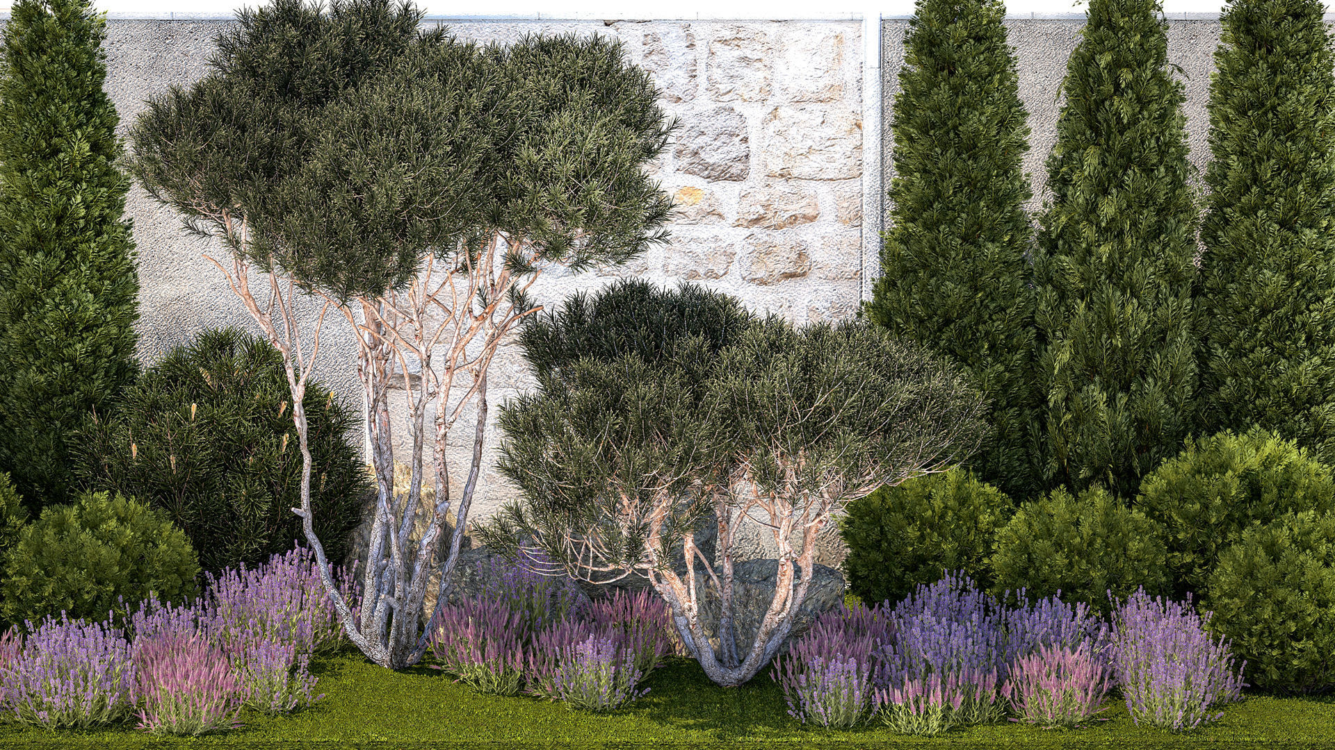 Garden with thuja trees and pine topiary lavender bushes 3D model_1