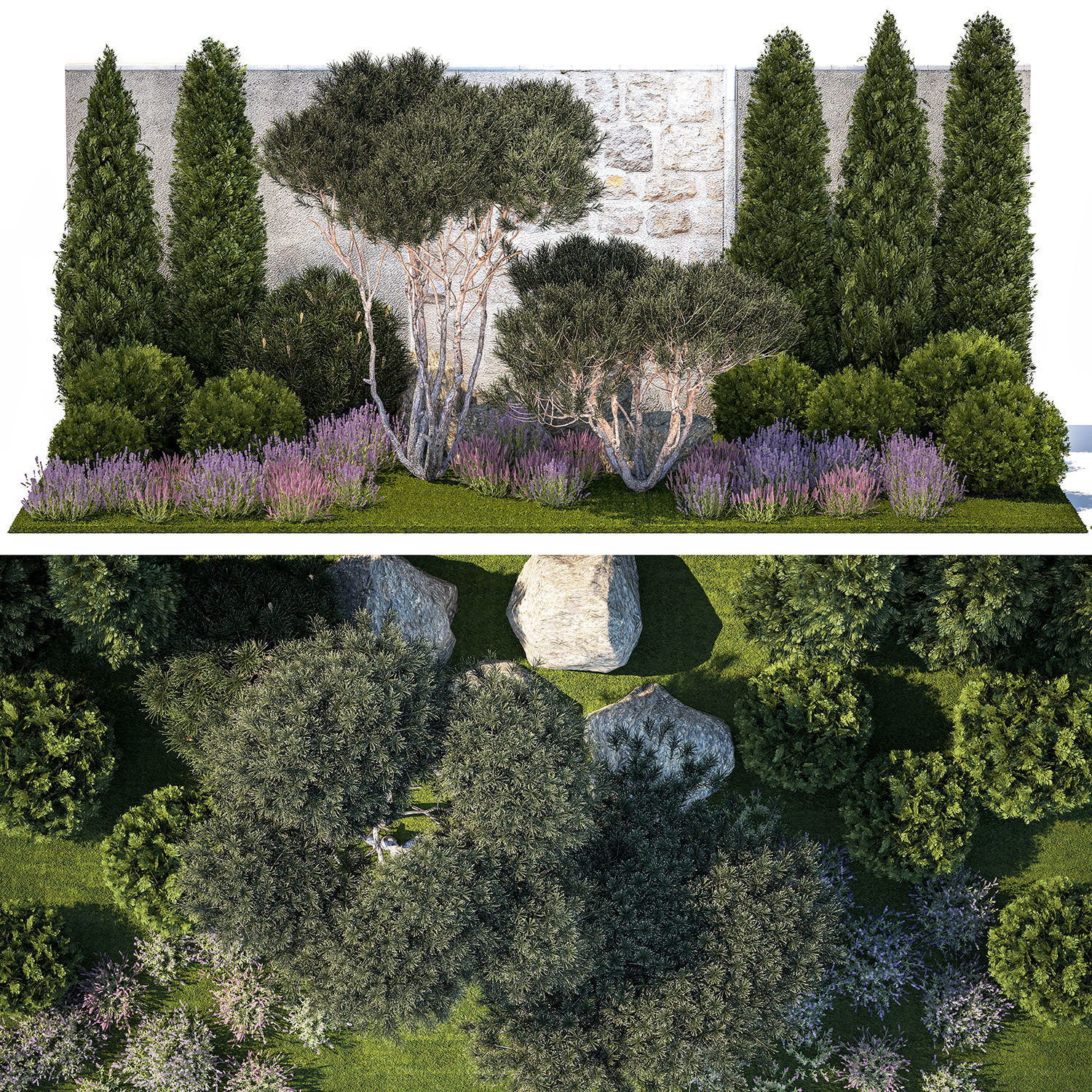 Garden with thuja trees and pine topiary lavender bushes 3D model_14