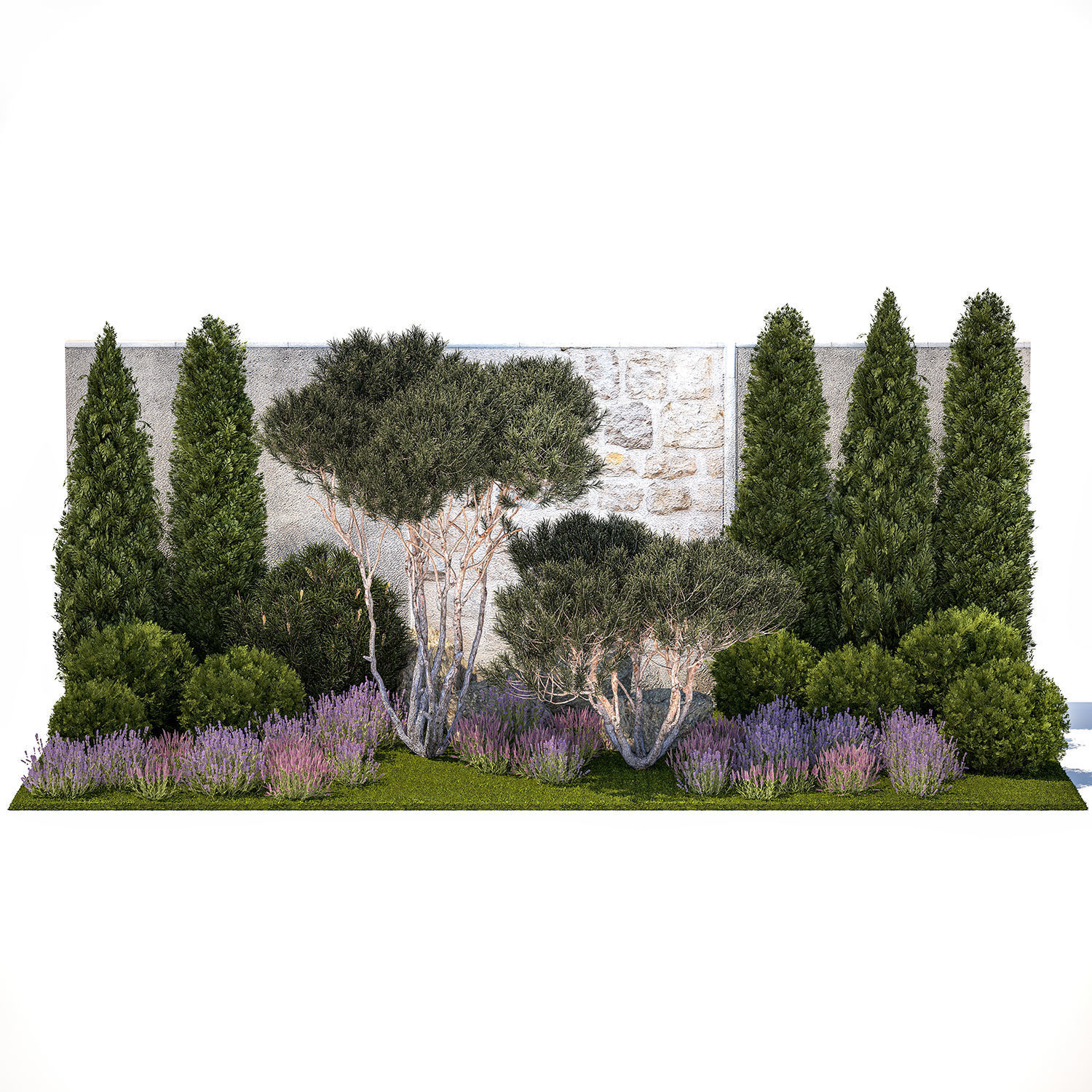 Garden with thuja trees and pine topiary lavender bushes 3D model_7