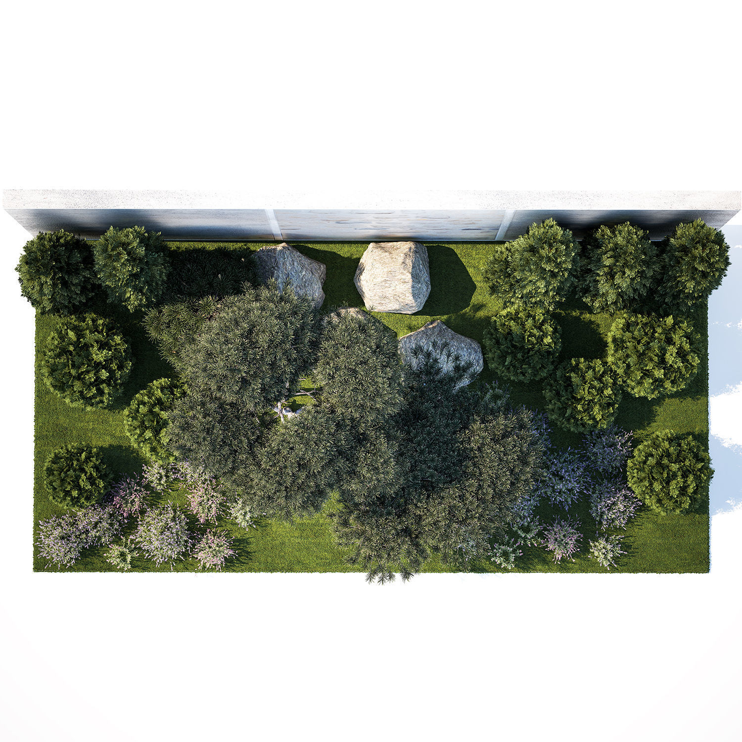 Garden with thuja trees and pine topiary lavender bushes 3D model_11