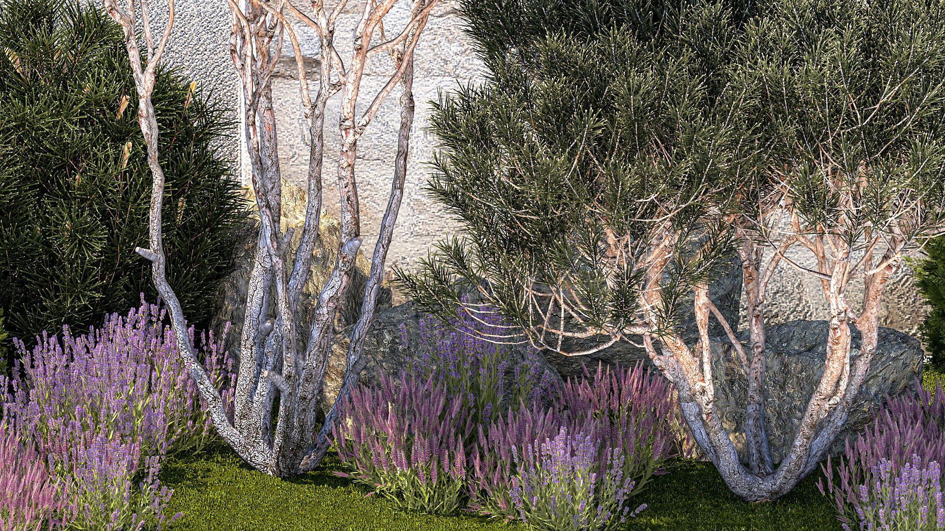 Garden with thuja trees and pine topiary lavender bushes 3D model_4