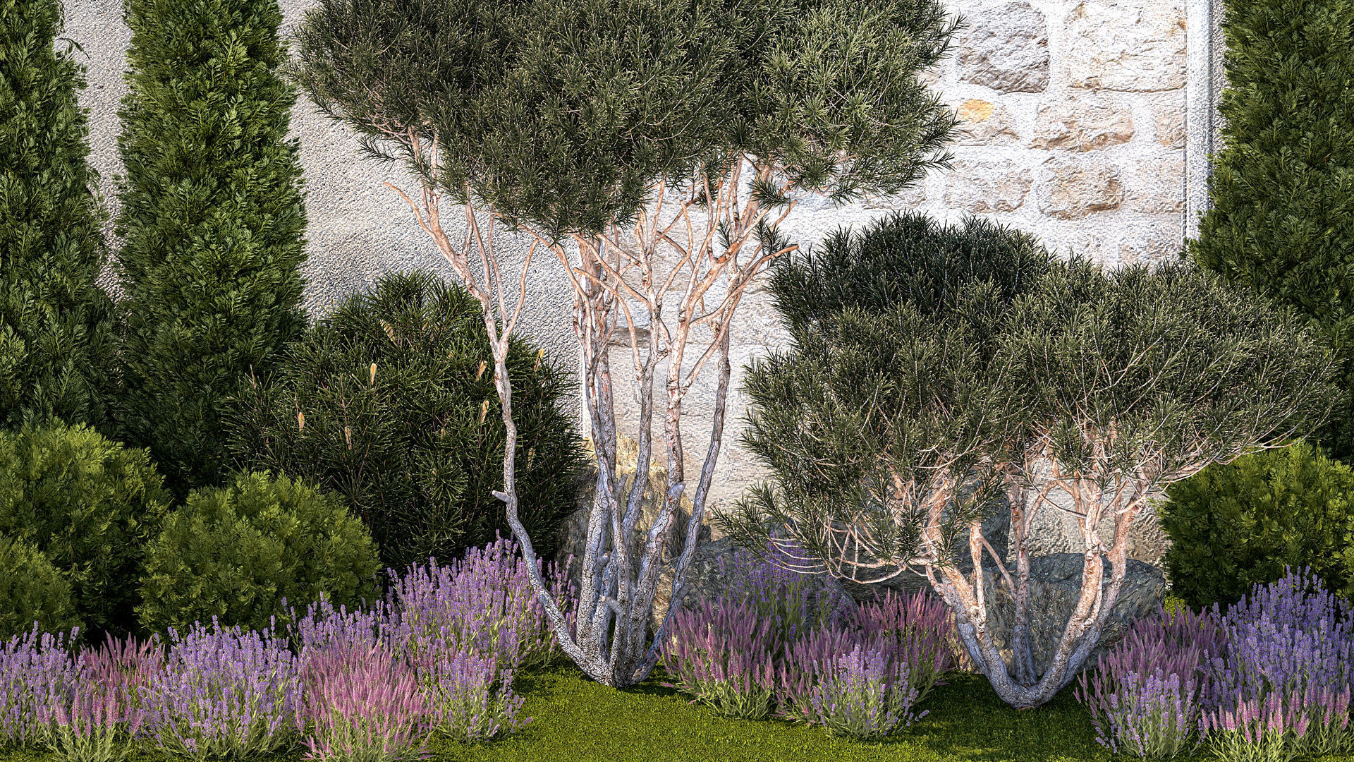 Garden with thuja trees and pine topiary lavender bushes 3D model_2