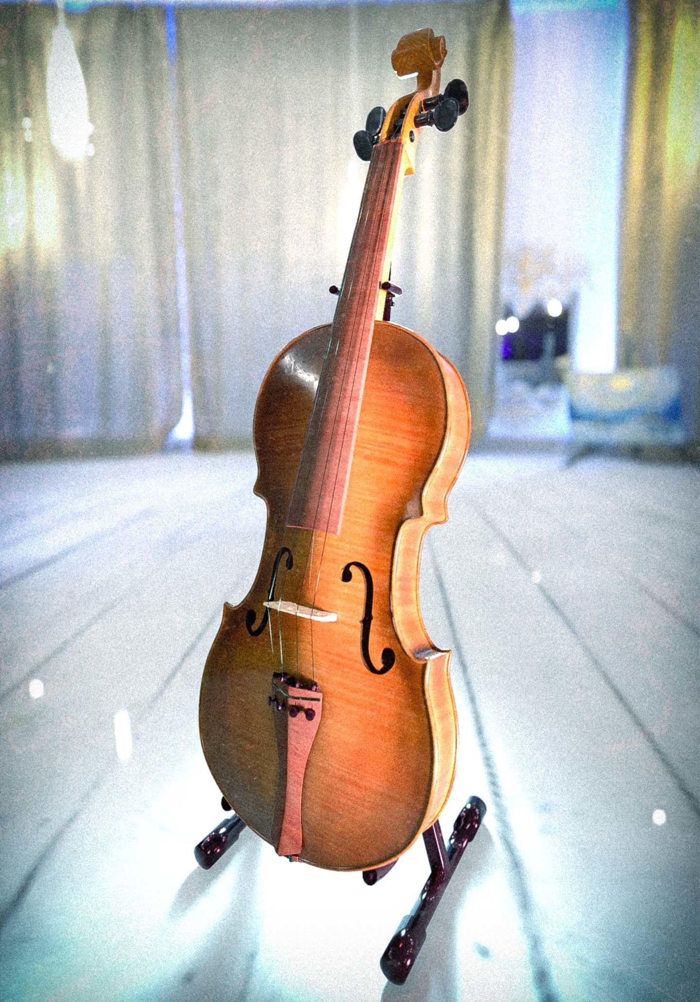 Violin 3D model_4