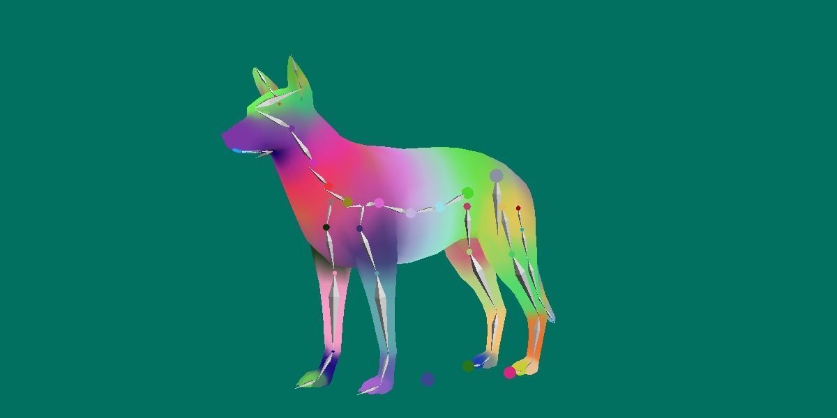 Belgian Malinois Low poly 3D model_5