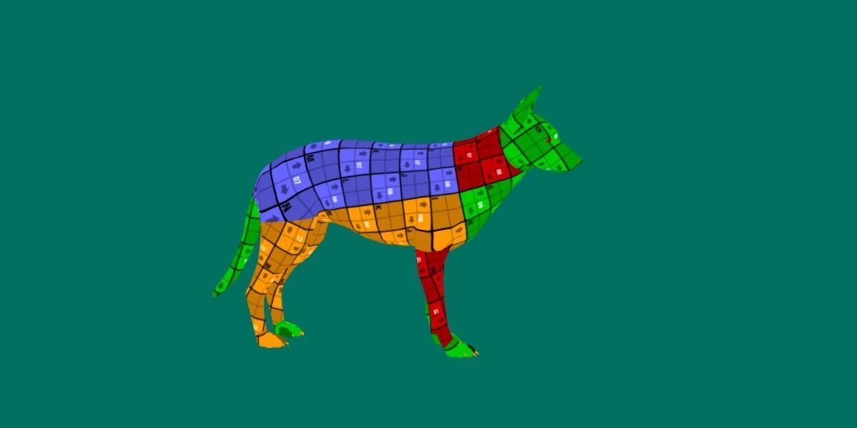 Belgian Malinois Low poly 3D model_4