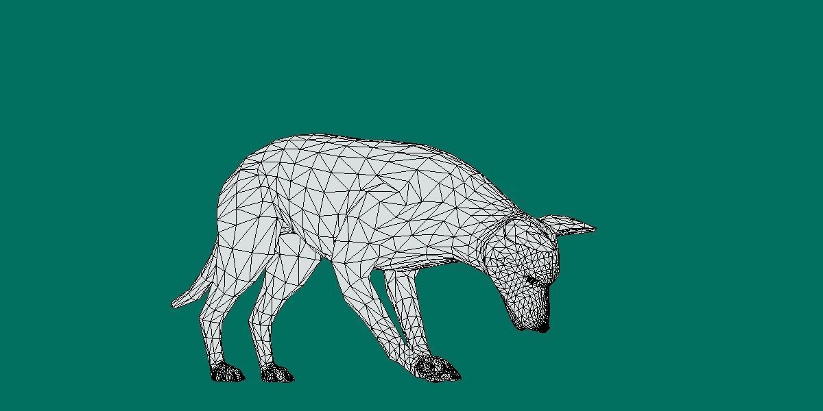 Belgian Malinois Low poly 3D model_10