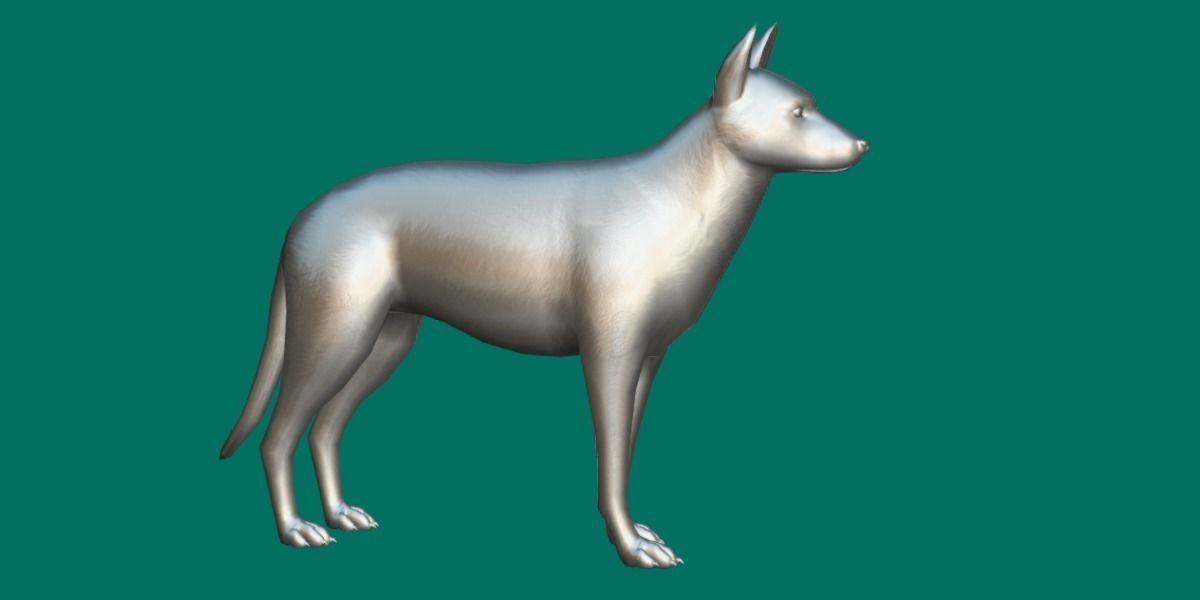 Belgian Malinois Low poly 3D model_9