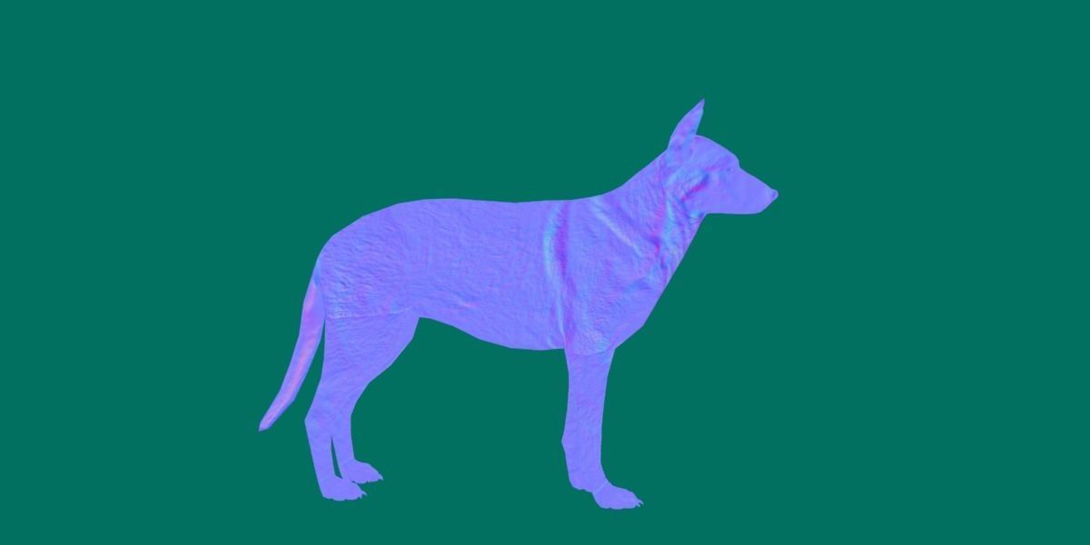 Belgian Malinois Low poly 3D model_7