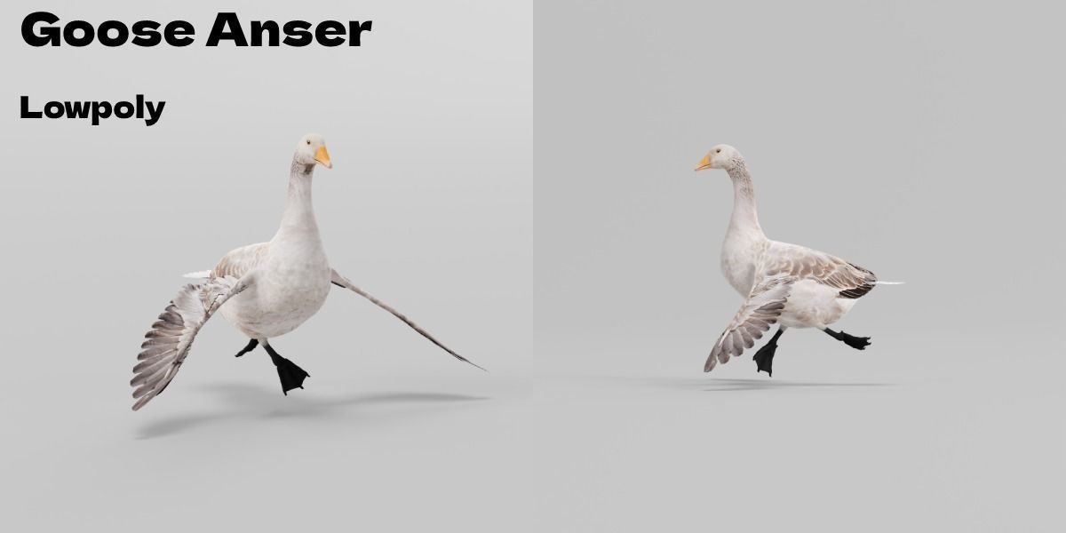 Goose Lowpoly Low-poly 3D model_3