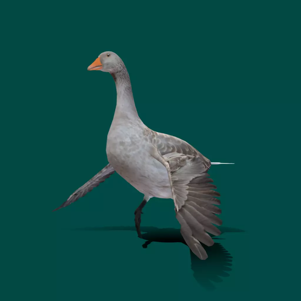 Goose Lowpoly Low-poly 3D model_0