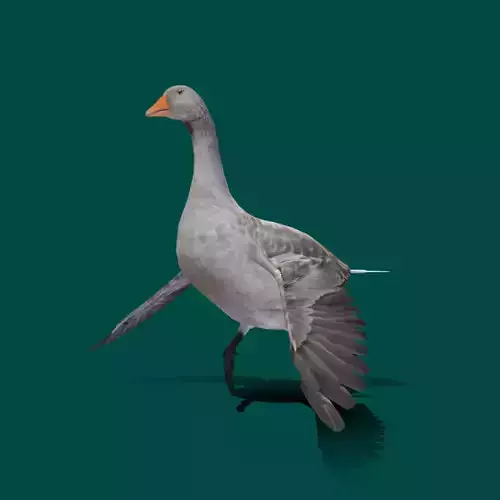 Goose Lowpoly Low-poly 3D model