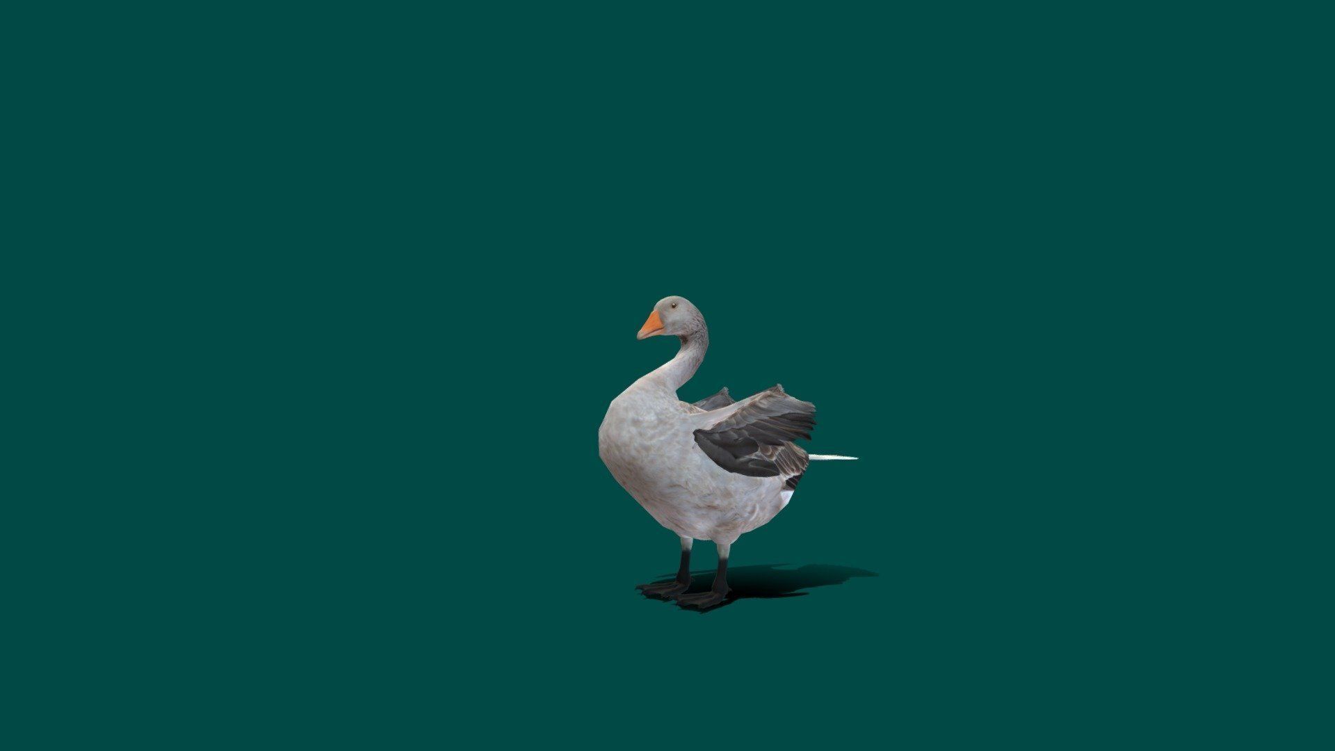 Goose Lowpoly Low-poly 3D model_5