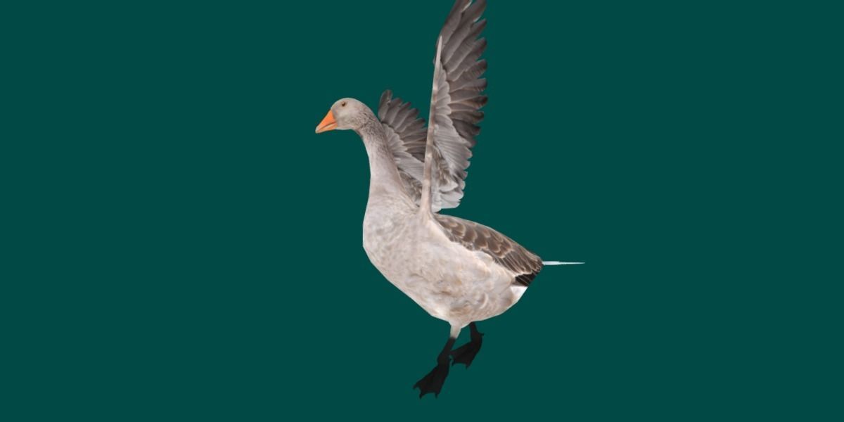 Goose Lowpoly Low-poly 3D model_12