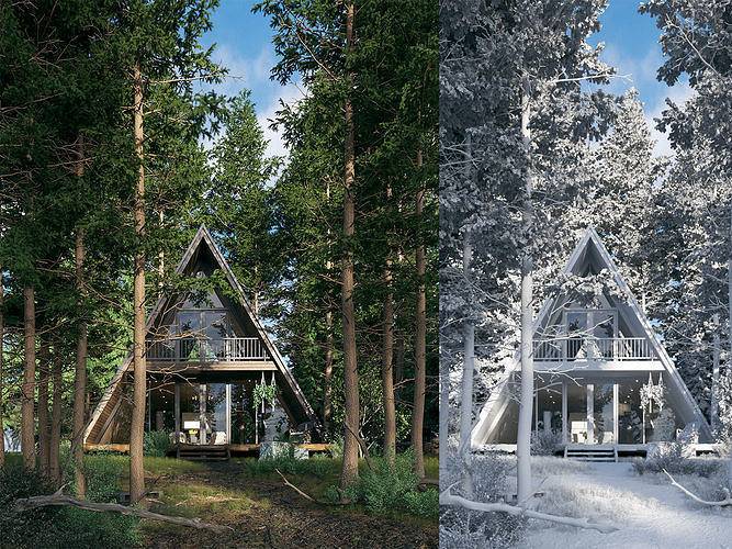 V-Ray 6 Forest House - Materials - Trees and Lighting 3D model 3