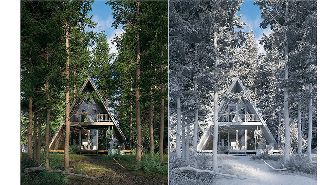V-Ray 6 Forest House - Materials - Trees and Lighting 3D model 7