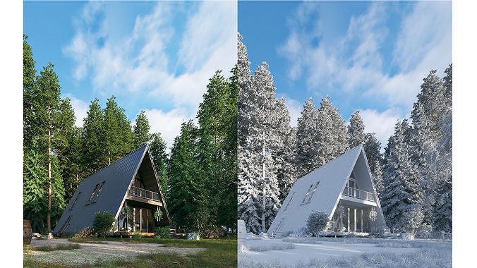 V-Ray 6 Forest House - Materials - Trees and Lighting 3D model 6
