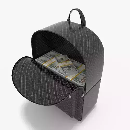 Bookbag with Money