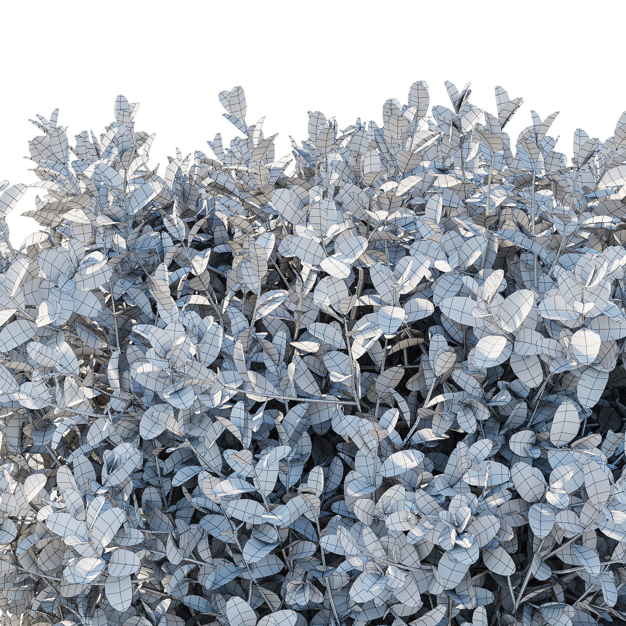 Boxwood bush 3D model_6