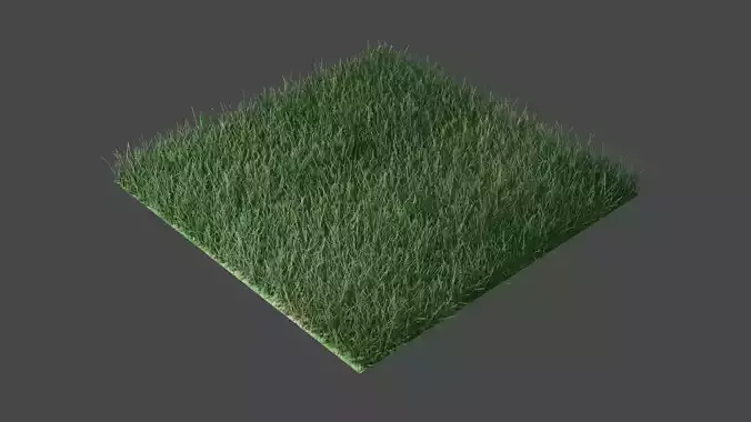 GRASS 3D MODEL