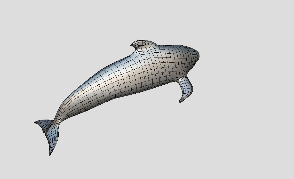 Long finned pilot whale Animated Low-poly Low-poly 3D model_12