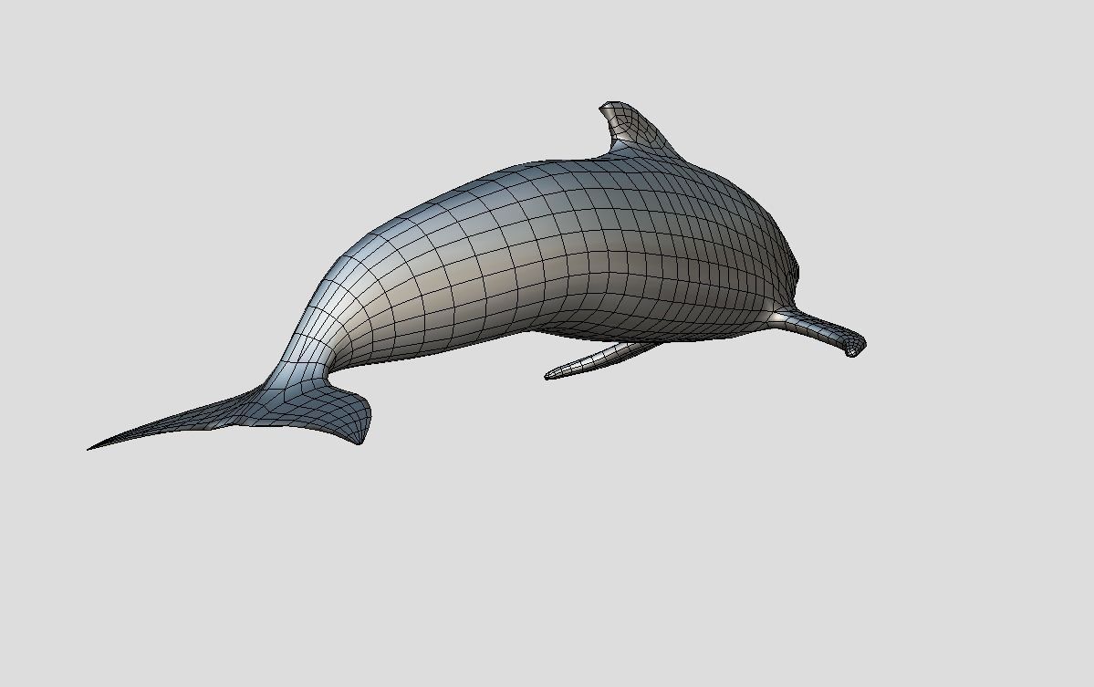 Long finned pilot whale Animated Low-poly Low-poly 3D model_11