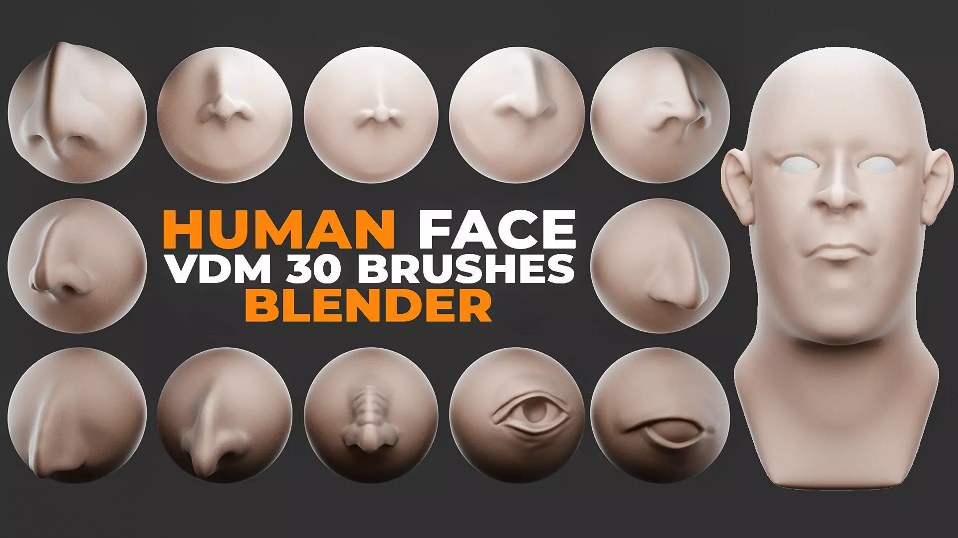 Human Face Vdm Brushes For Blender 3D model