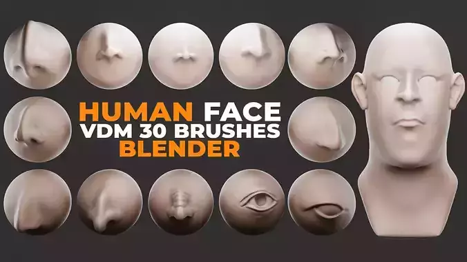 Human Face Vdm Brushes For Blender