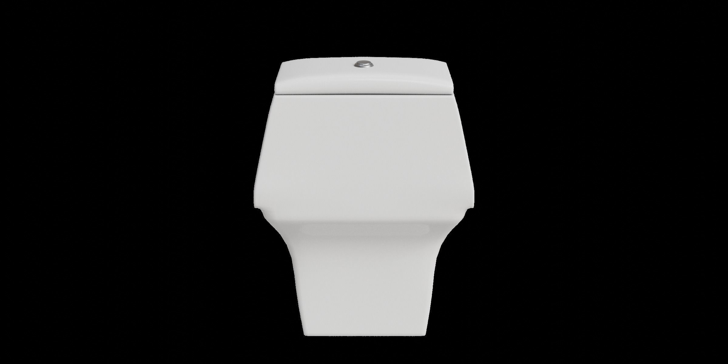 White Curve One Piece Toilet Low-poly 3D model_10